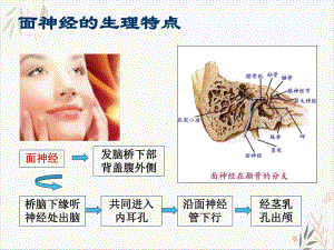 面神经炎中医治疗PPT课件.pptx