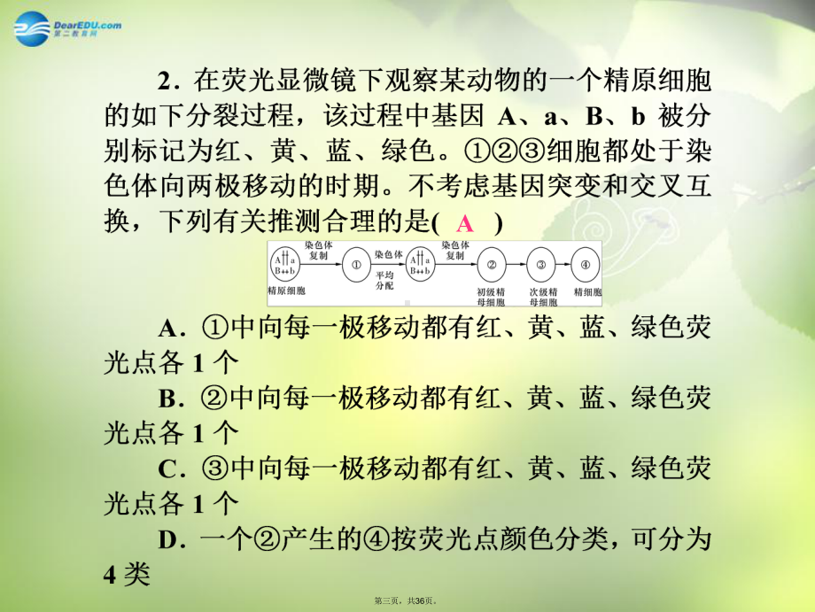 高考生物一轮总复习-基因和染色体的关系单元同步测试课件-新人教版.ppt_第3页