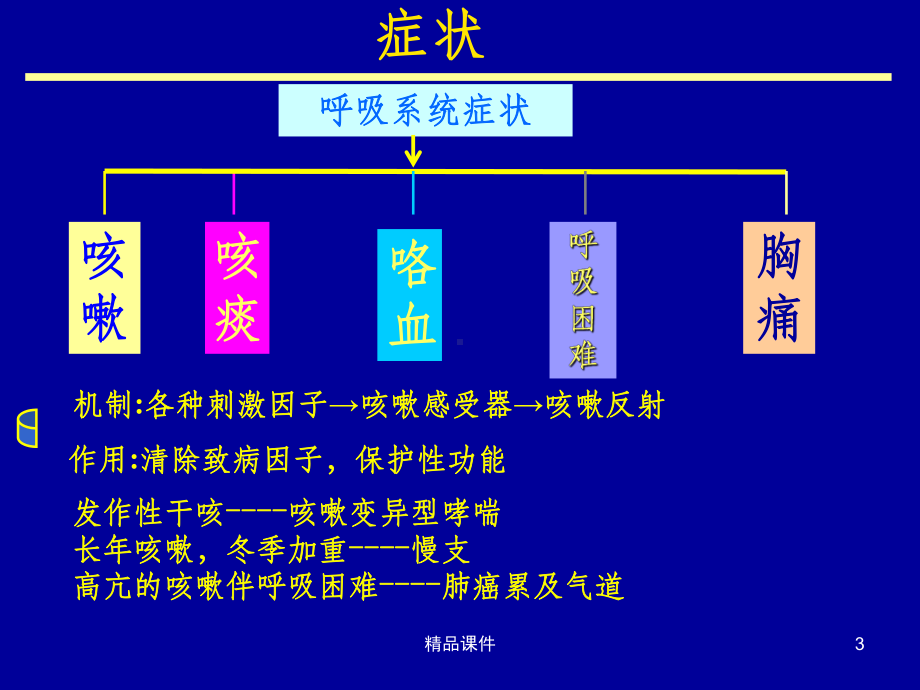 呼吸系统常见疾病的临床药物治疗课件.ppt_第3页