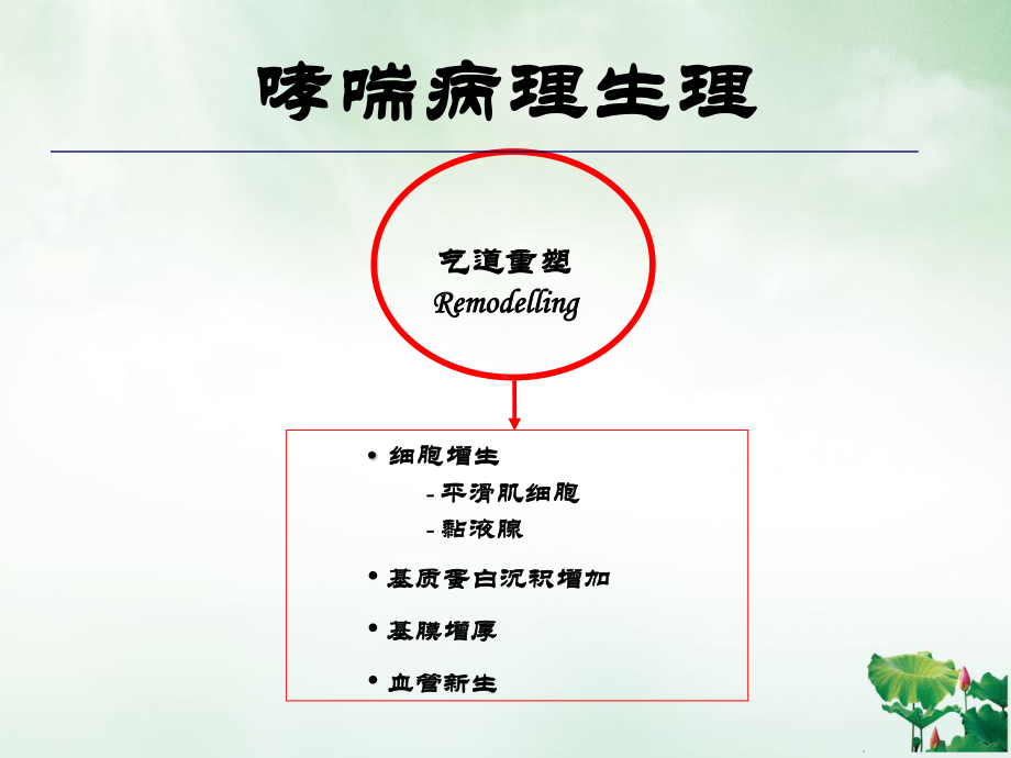 青岛雾化激素专家共识解读雾化吸入糖皮质激素在儿科的应用课件.ppt_第2页