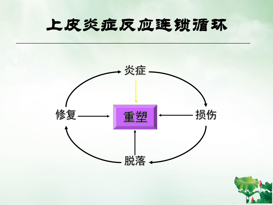 青岛雾化激素专家共识解读雾化吸入糖皮质激素在儿科的应用课件.ppt_第3页