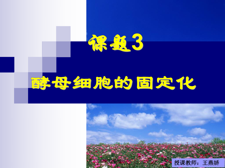 酵母细胞的固定化定演讲教学课件.ppt_第1页