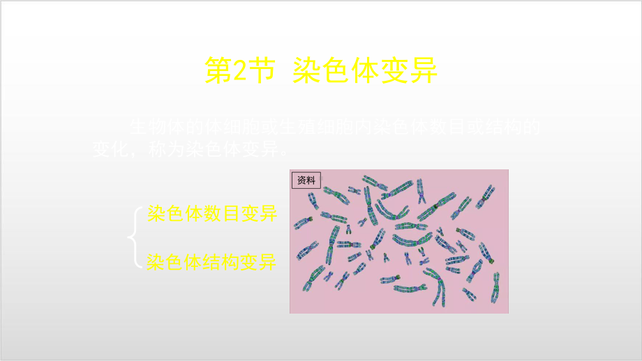 新教材《染色体变异》课件人教版1.pptx_第3页