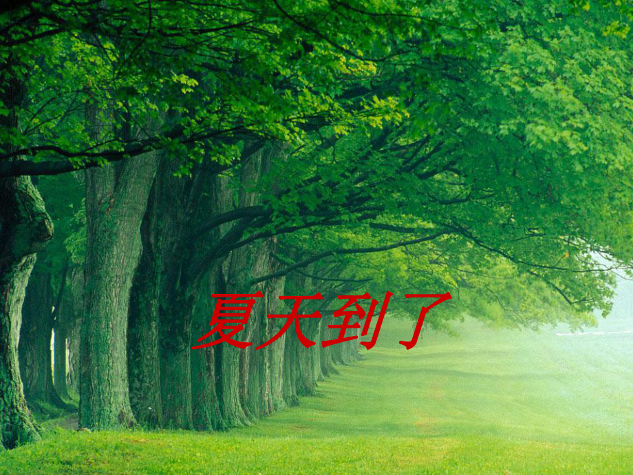 我爱夏天(课堂)课件.ppt_第1页