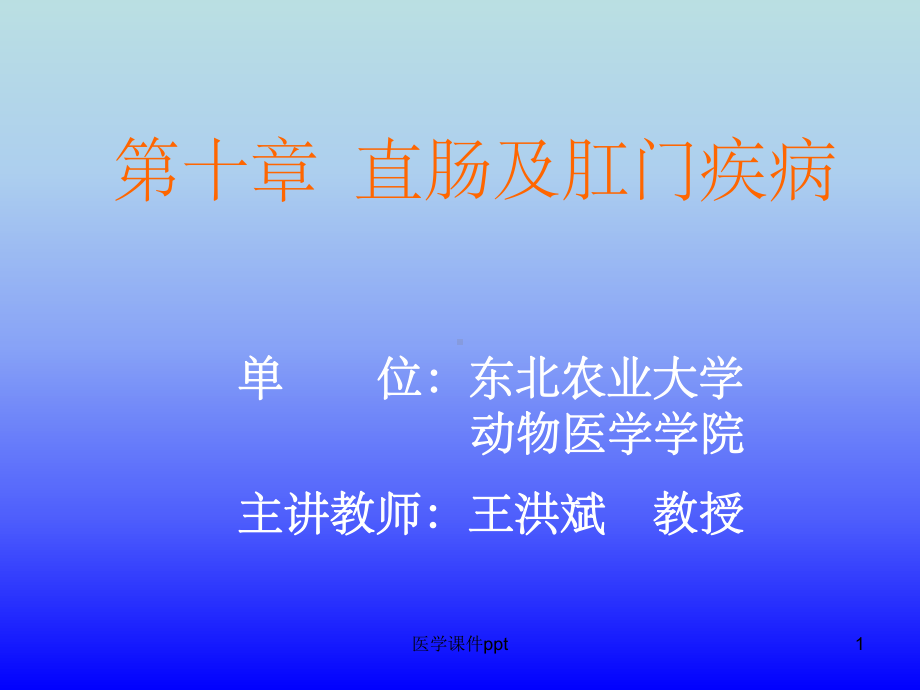 《直肠及肛门疾病》课件.ppt_第1页