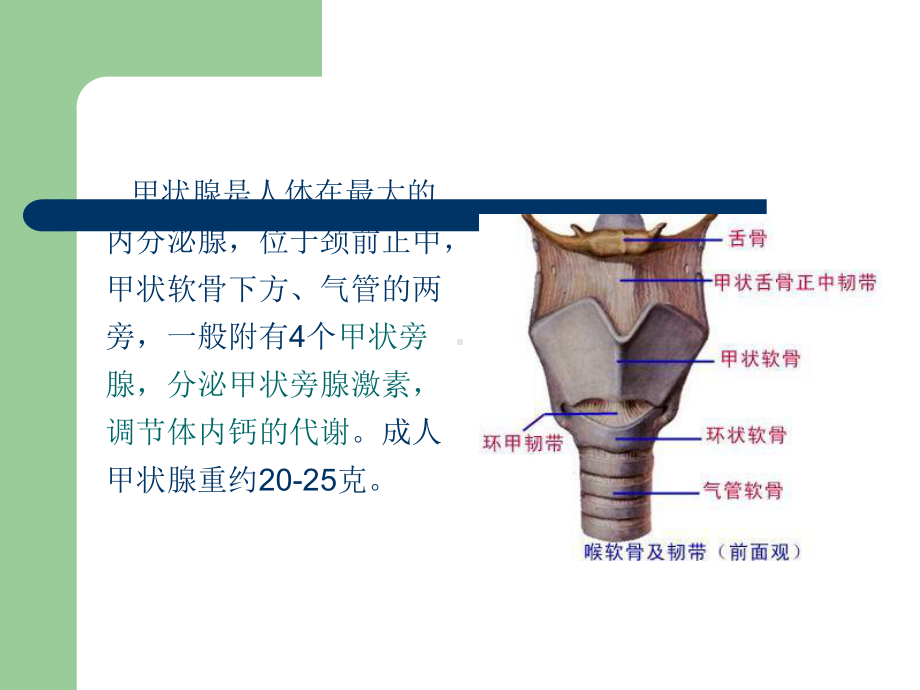 颈部疾病患者的护理课件(同名217).ppt_第2页