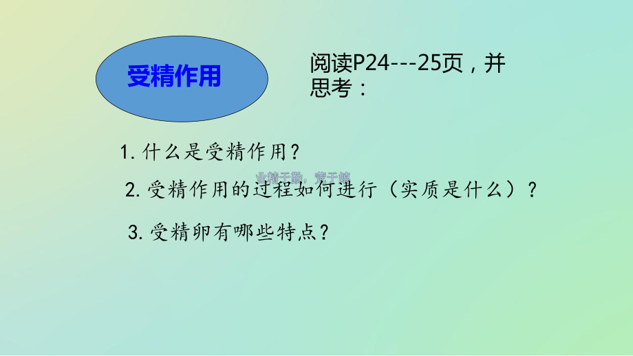 高中生物必修二第二章基因与染色体的关系减数分裂和受精作用-受精作用课件.pptx_第3页