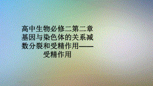 高中生物必修二第二章基因与染色体的关系减数分裂和受精作用-受精作用课件.pptx