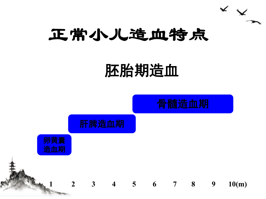 造血系统总论及营养性贫血课件.ppt_第3页