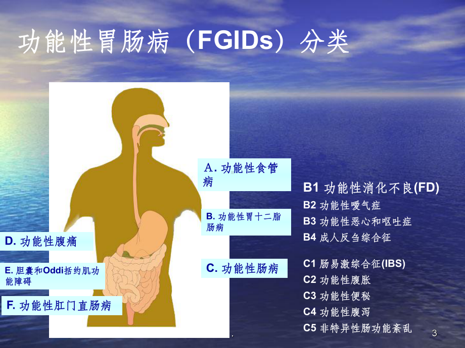 功能性消化不良的诊治规范课件.ppt_第3页