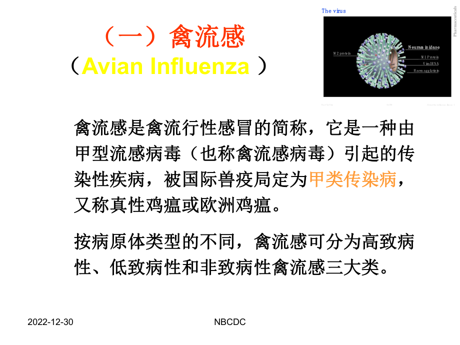 工程科技禽流感讲课件.pptx_第2页