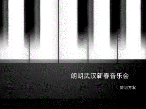 朗朗音乐会策划实施计划方案.ppt