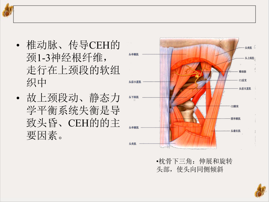 颈源性头痛穴位精确靶点注射法培训课件.ppt_第3页