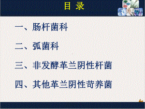 革兰阴性需氧和兼性厌氧杆菌检验实用课件.pptx