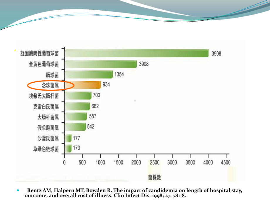 重症患者侵袭性真菌感染诊断和治疗课件.ppt_第3页