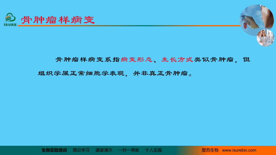 骨肿瘤样病变课件.ppt_第1页