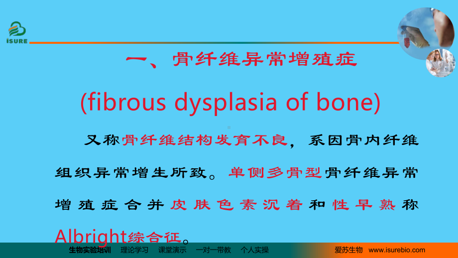 骨肿瘤样病变课件.ppt_第3页