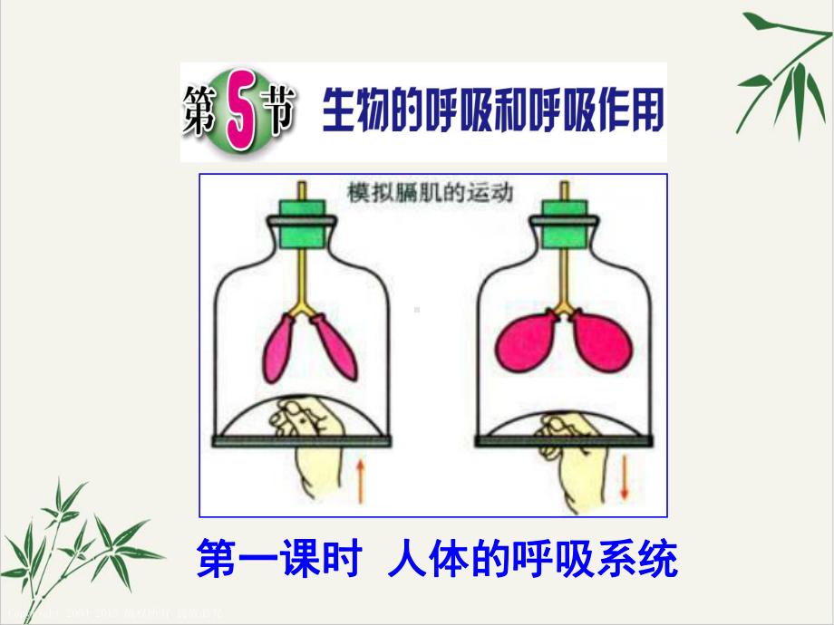 浙教版八级科学下册生物的呼吸和呼吸作用教学PPT课件.pptx_第1页