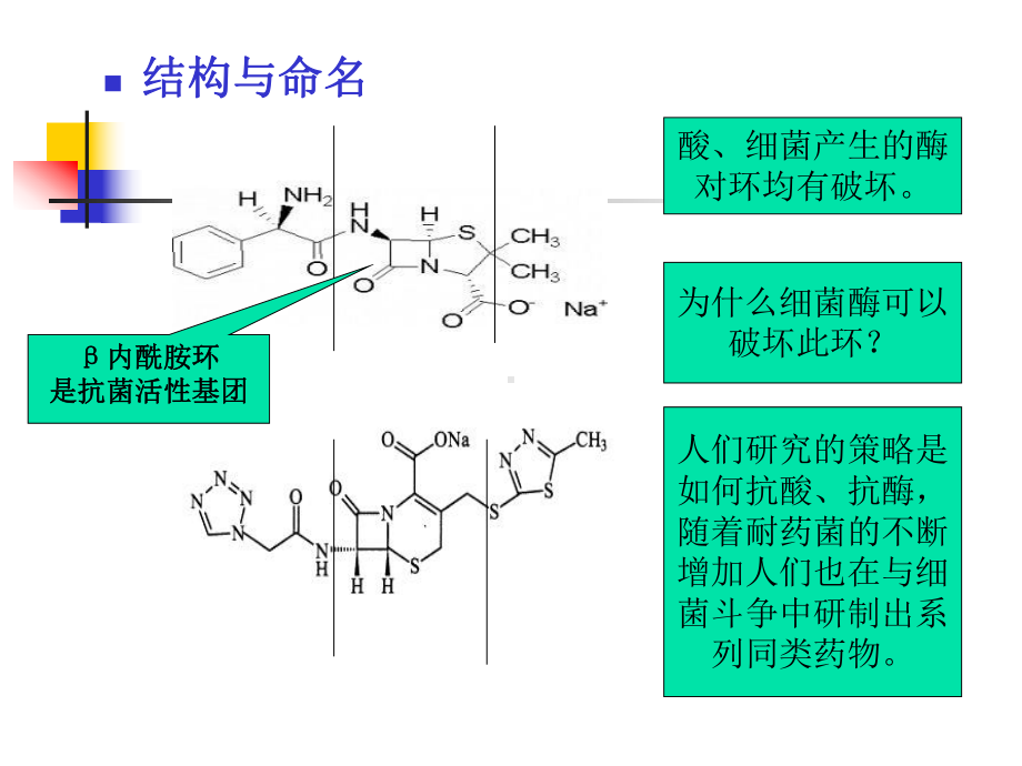 抗菌药物学习课件.ppt_第3页