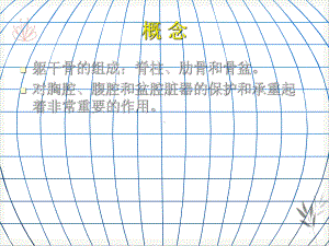 躯干骨折讲课课件.pptx