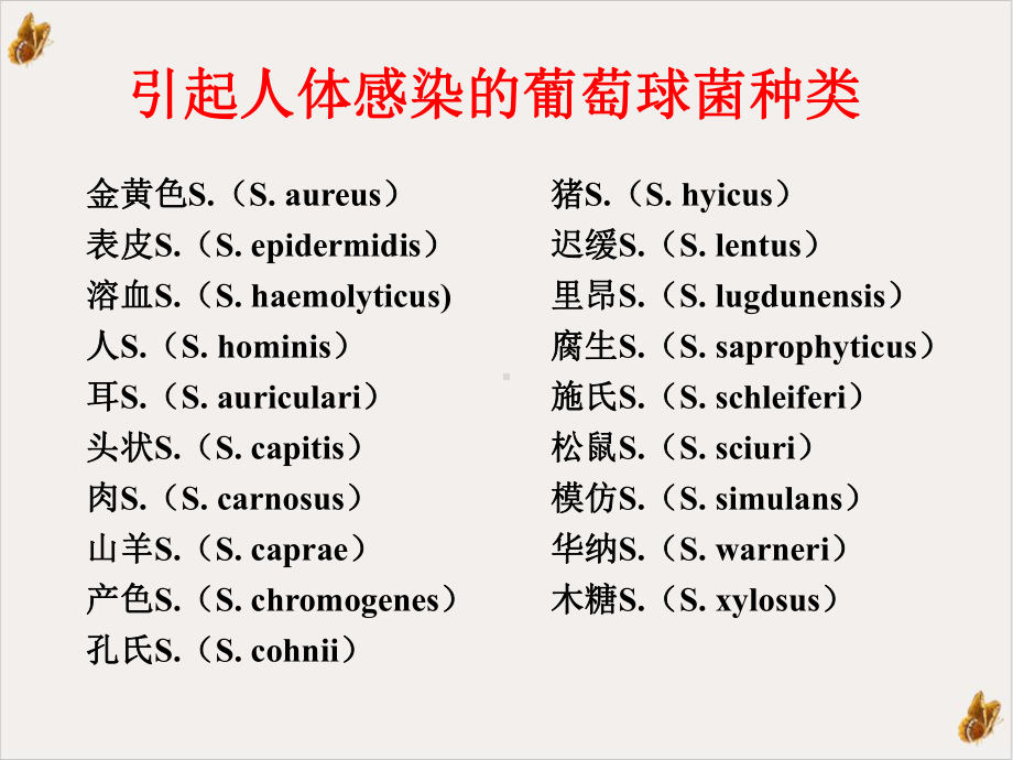 革兰阳性菌感染及治疗课件.pptx_第3页