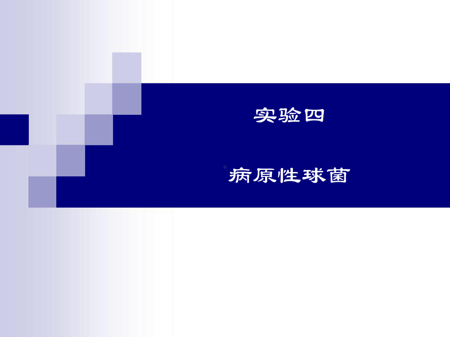 试验4病原性球菌课件.ppt_第1页