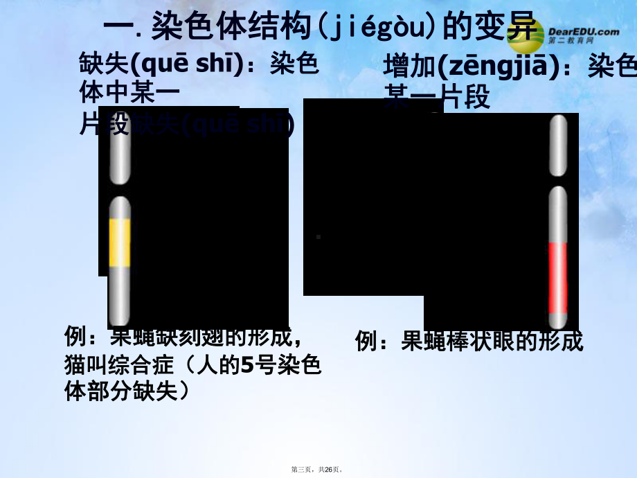 高中生物-第五章-第2节-染色体变异课件-新人教版生物必修2.ppt_第3页