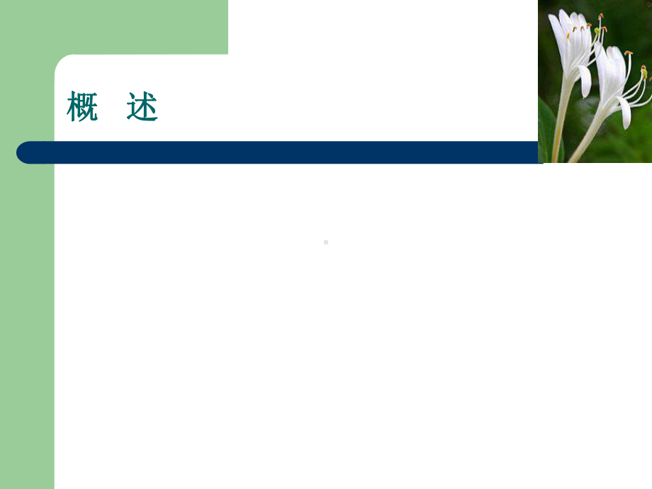 金银花种植与生产规划课件.ppt_第3页