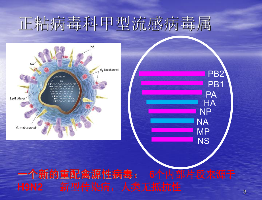 预防H7N9禽流感常识预防方案课件.ppt_第3页