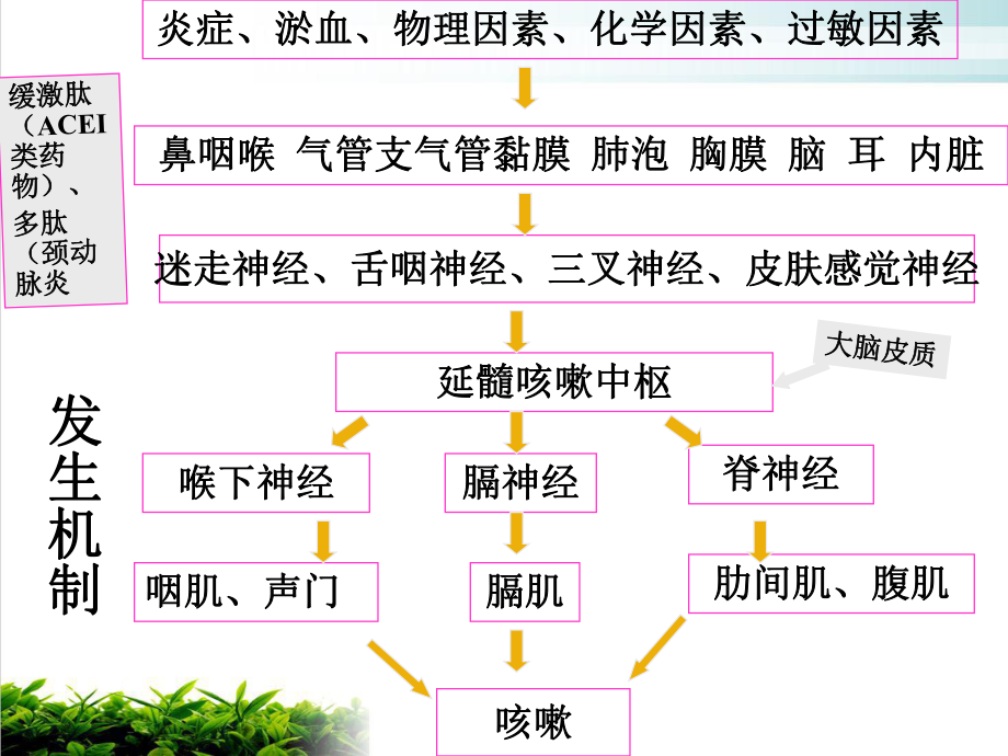 诊断学第四章咳嗽咳痰呼吸困难实用课件.ppt_第3页