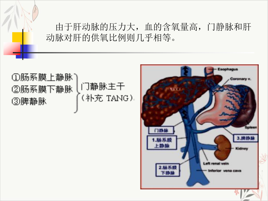 门静脉高压病人护理课件.pptx_第3页