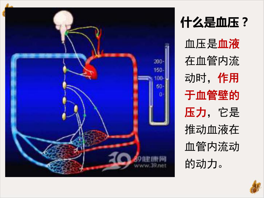 高血压和饮食课件.ppt_第2页