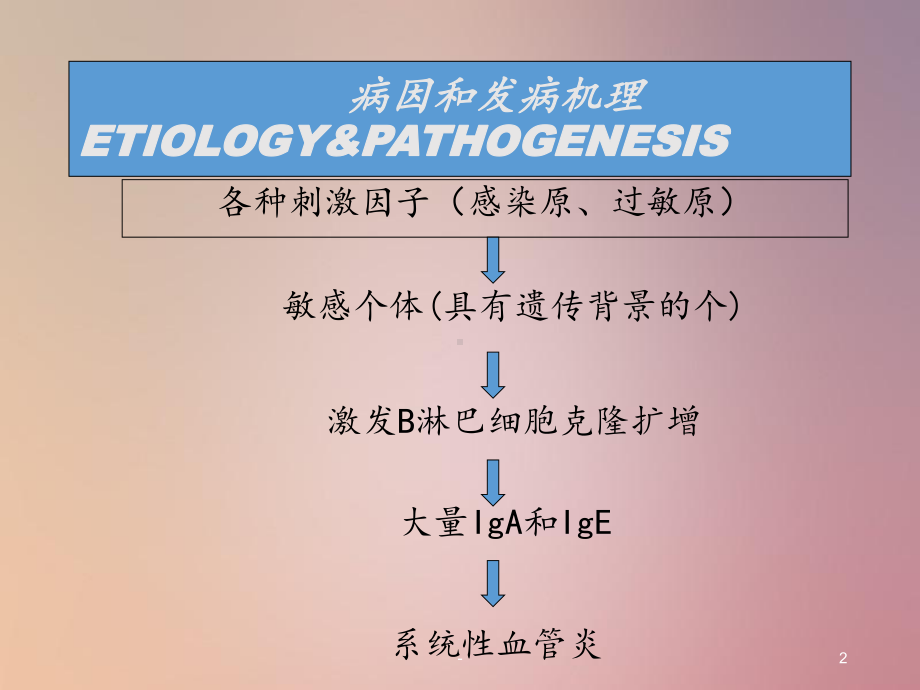 过敏性紫癜33课件.ppt_第2页