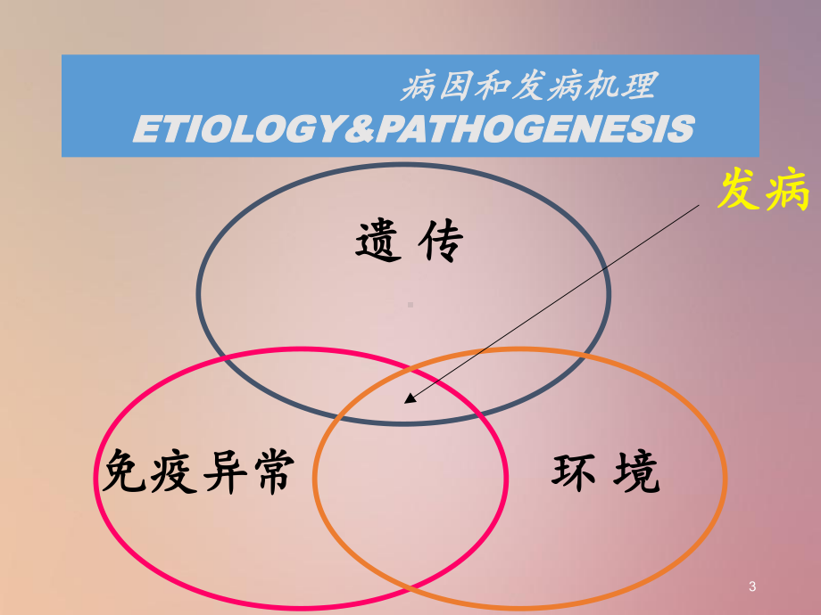 过敏性紫癜33课件.ppt_第3页