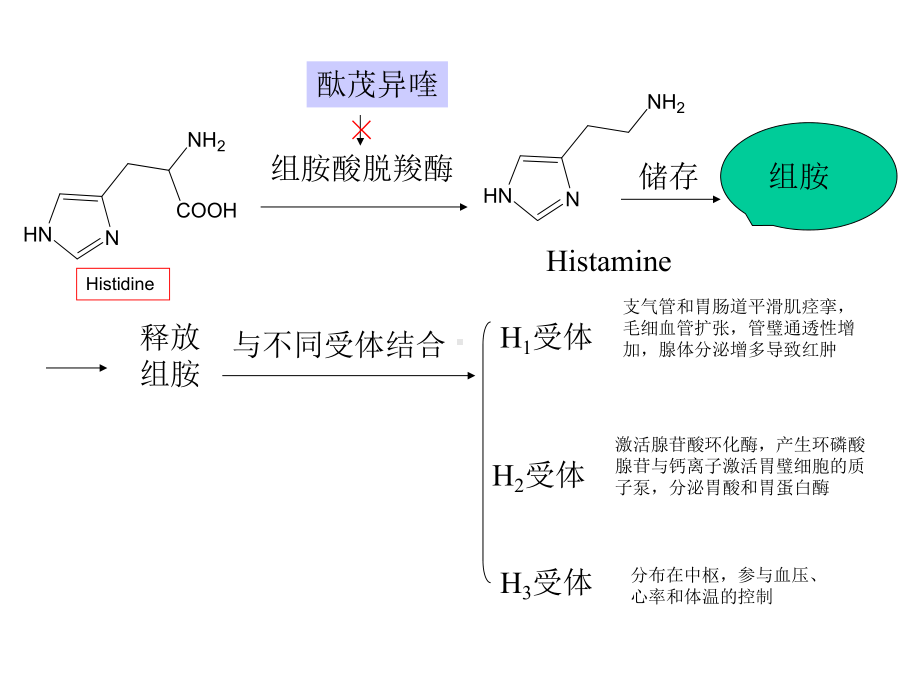 抗过敏药与抗溃疡药-课件.ppt_第1页