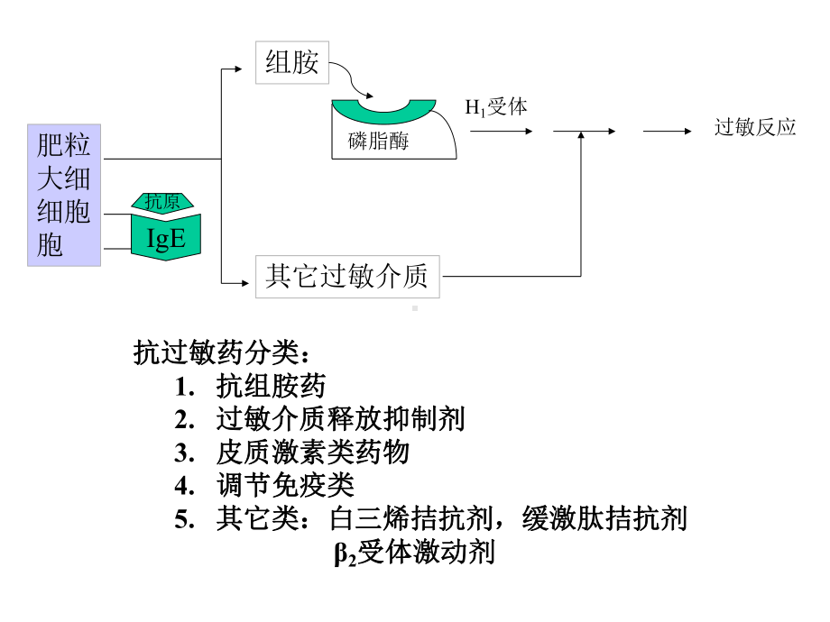 抗过敏药与抗溃疡药-课件.ppt_第3页