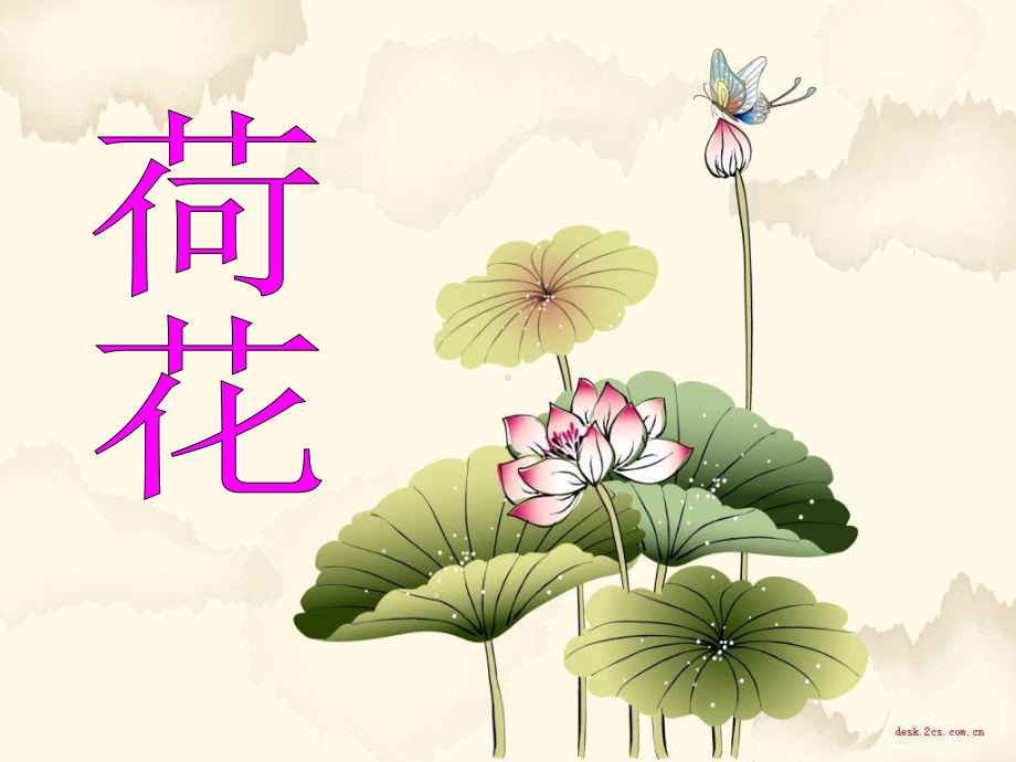 部编版语文《荷花》课件分析1.ppt_第1页