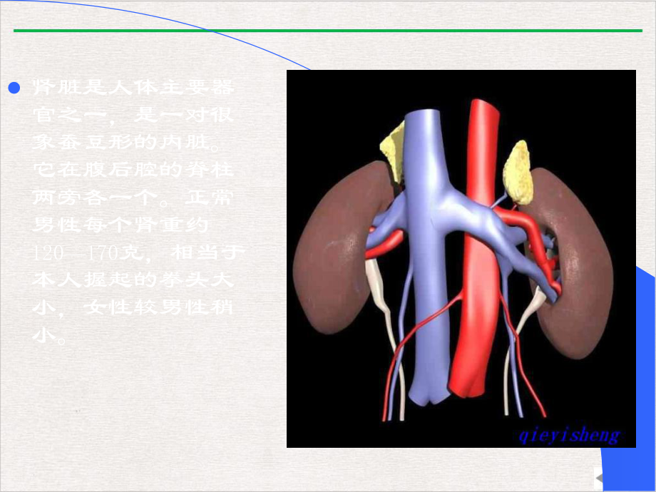 泌尿系统超声诊断医学课件.pptx_第3页