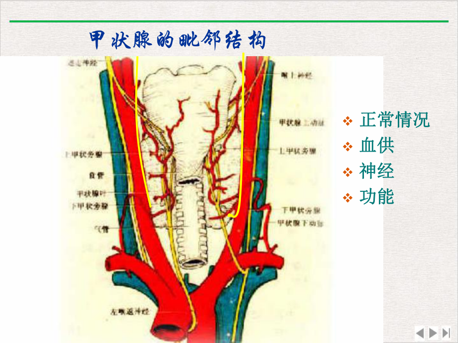 颈部疾病病人的护理详解新版课件.pptx_第3页