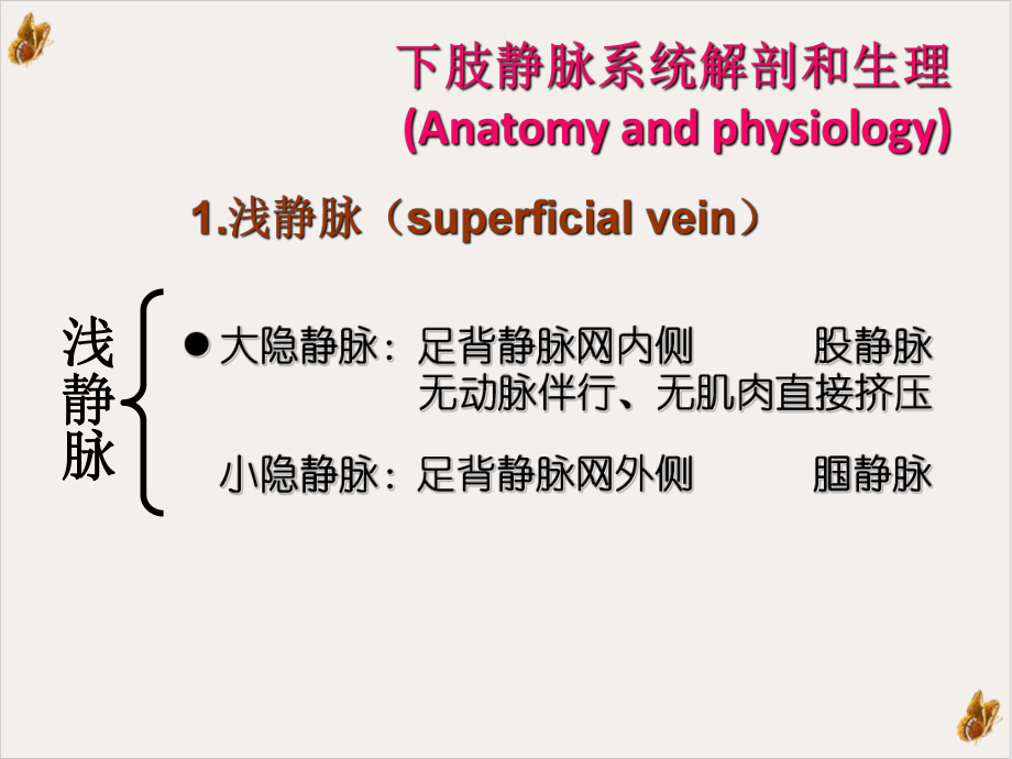 大隐静脉曲张护理查房教学课件.ppt_第2页