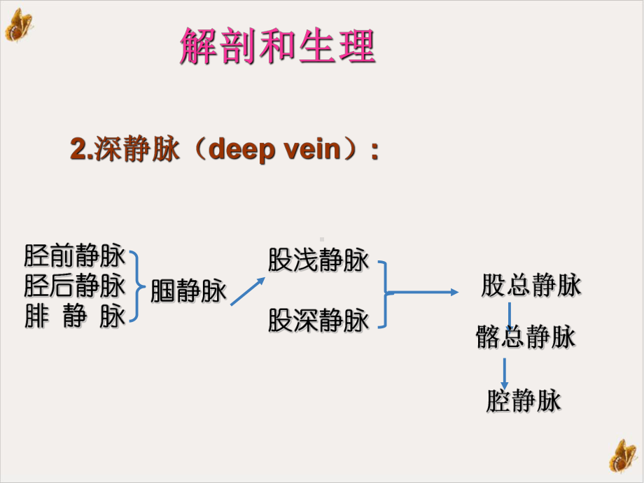 大隐静脉曲张护理查房教学课件.ppt_第3页