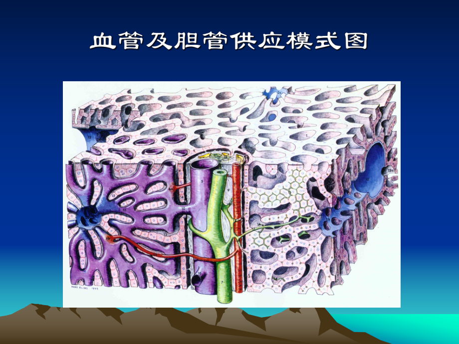 近红外光检测肝组织血氧含量的临床研究课件.pptx_第3页