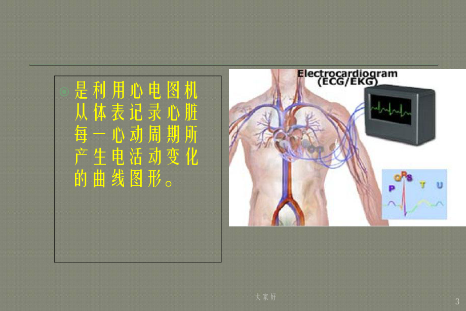 诊断学-心电图电生理原理-课件.ppt_第3页