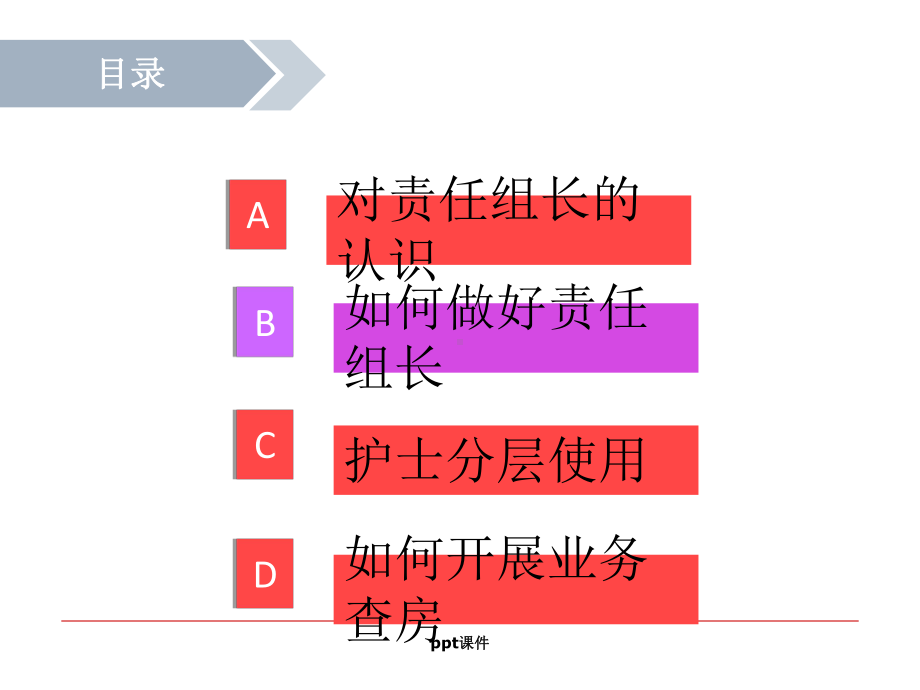 责任护理组长课件.ppt_第1页