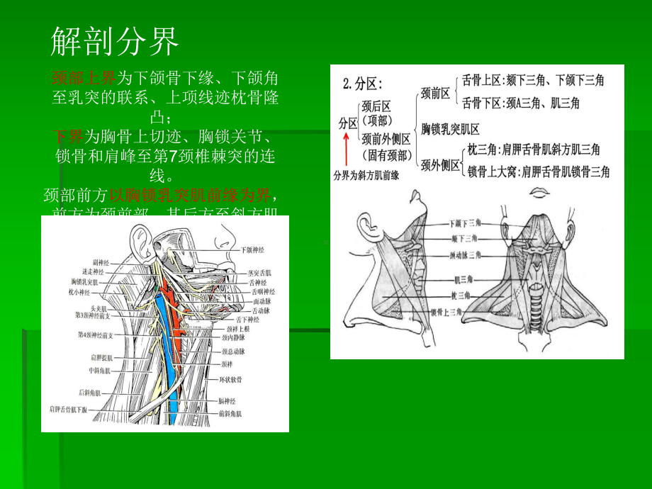 颈部囊实性病变的CT-诊断课件.ppt_第2页