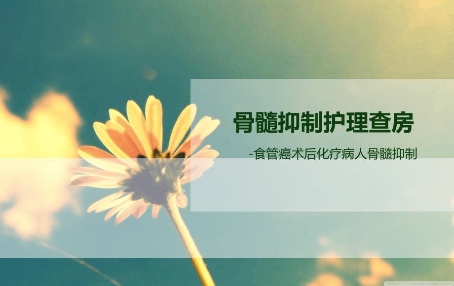 骨髓抑制护理查房课件.ppt_第1页