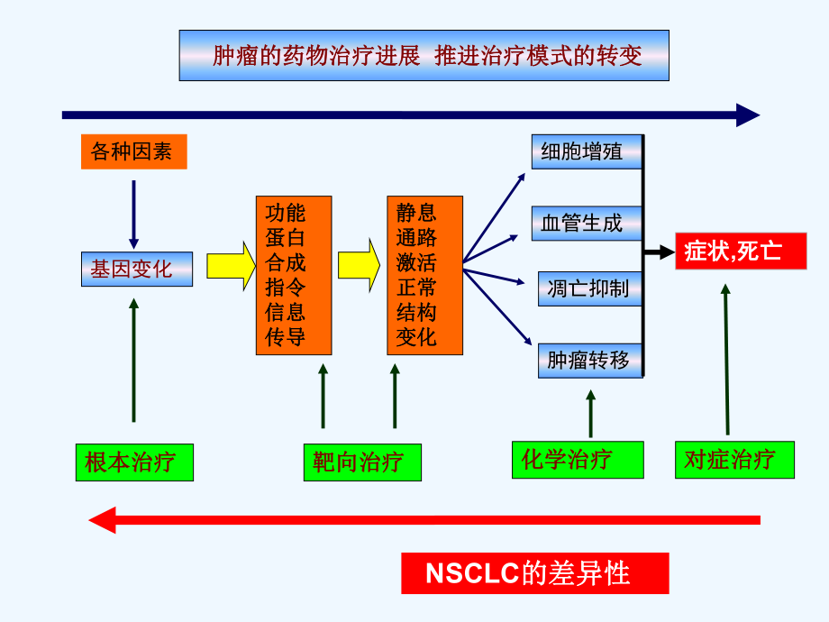 晚期非小细胞肺癌一线治疗策略探讨课件.ppt_第2页