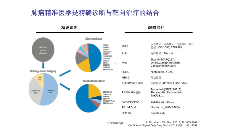 非小细胞肺癌EGFR基因突变检测课件整理.ppt_第3页