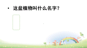 部编版习作：我的植物朋友教学课件.ppt