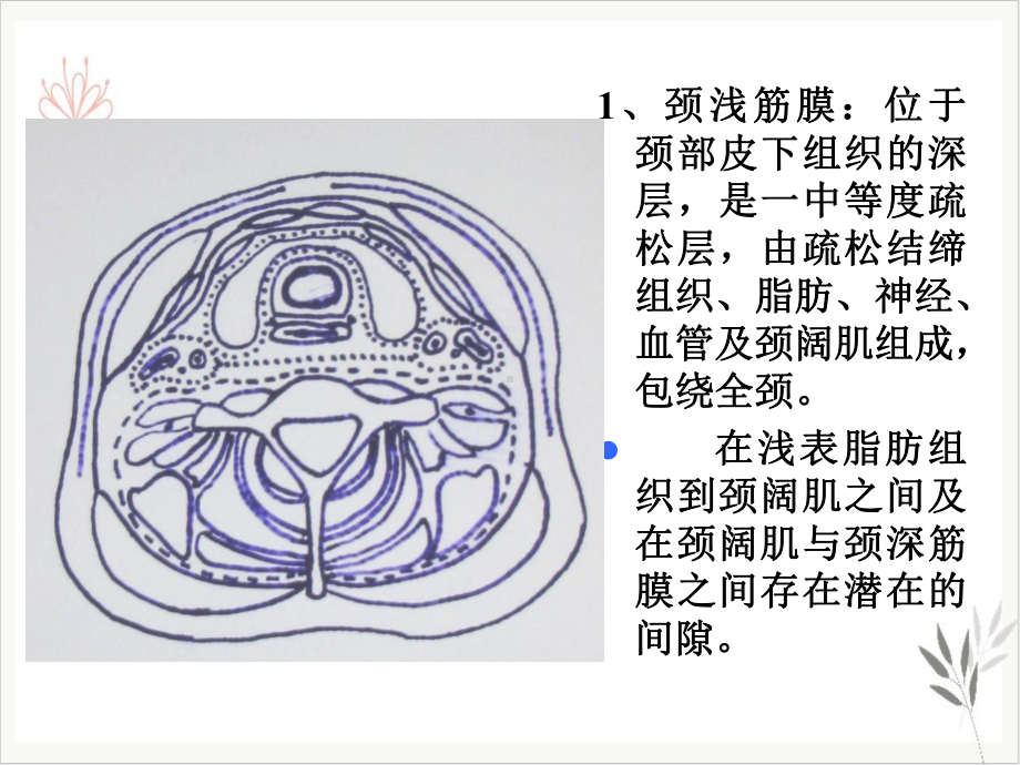 颈部神经源肿瘤影像诊断课件整理.ppt_第3页